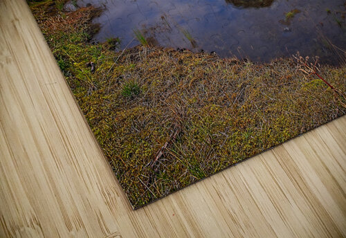 The Still Mirror of the Highlands Chirag Pandya puzzle