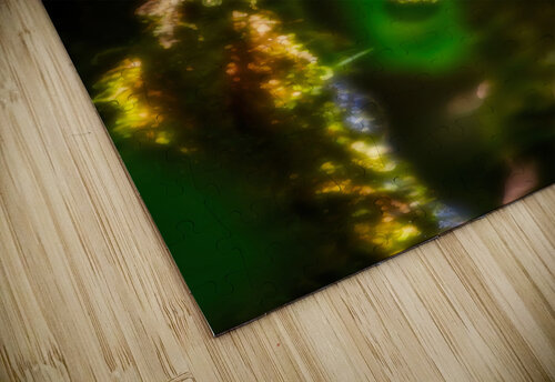 Jewel of the Cloud Forest Chirag Pandya puzzle