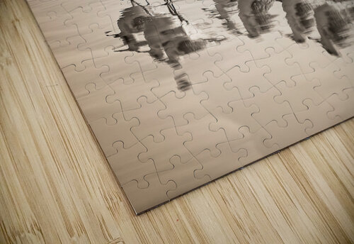 Gentle Pursuit Chirag Pandya puzzle