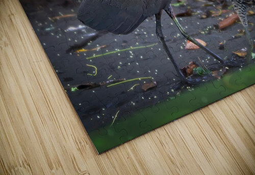 The Twin Dancers Chirag Pandya puzzle