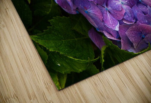 Hydrangea Jewel Chirag Pandya puzzle