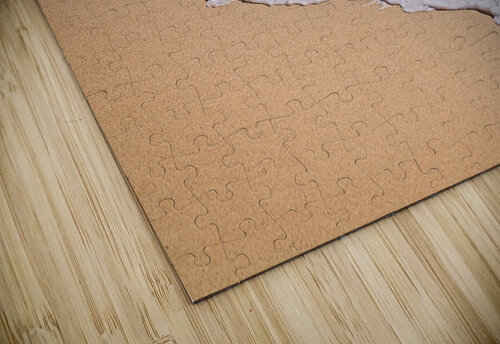 Shoreline Serenity Chirag Pandya puzzle