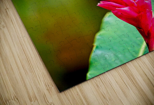 Jungle Bloom Elegance Chirag Pandya puzzle