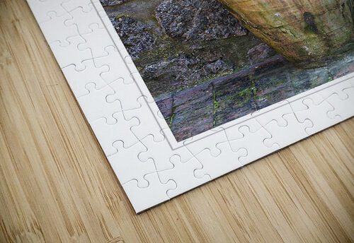 Rustic Garden Vase Chirag Pandya puzzle