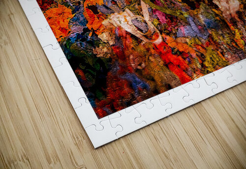 Festival of Color Chirag Pandya puzzle