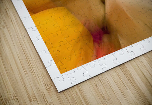 Music in Motion Chirag Pandya puzzle