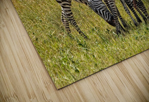 Striped Harmony Chirag Pandya puzzle