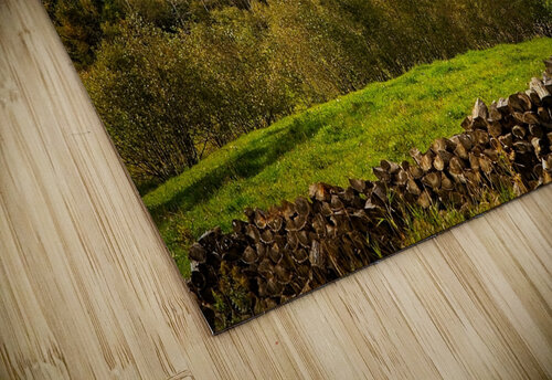 Autumn Harmony Chirag Pandya puzzle