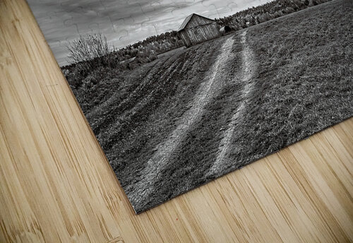 Light Over Quiet Lands Chirag Pandya puzzle