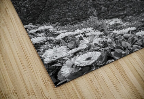 Terrace of Blossoms Chirag Pandya puzzle