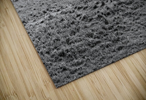 The Long Walk Home Chirag Pandya puzzle