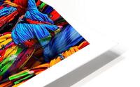 Rainbow Skirts HD Metal print