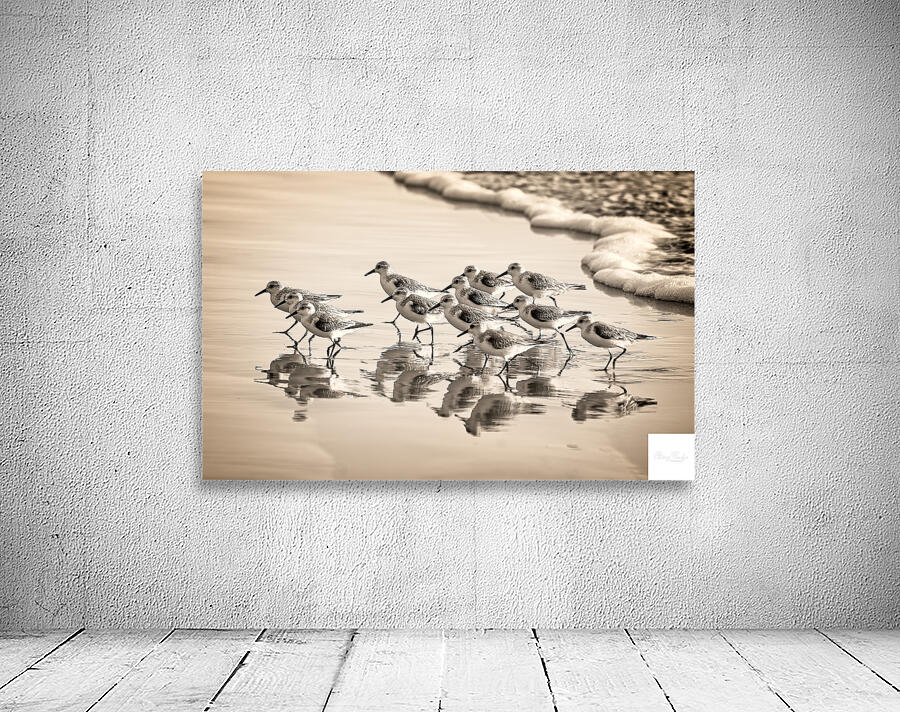 Gentle Pursuit Wall Preview