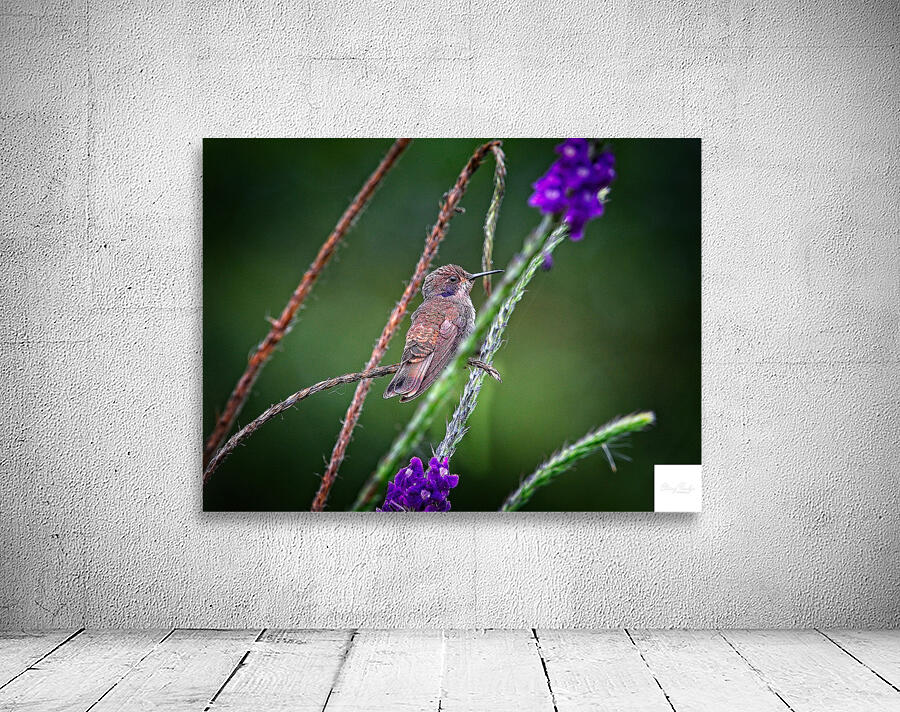 Dance of Nectar Wall Preview