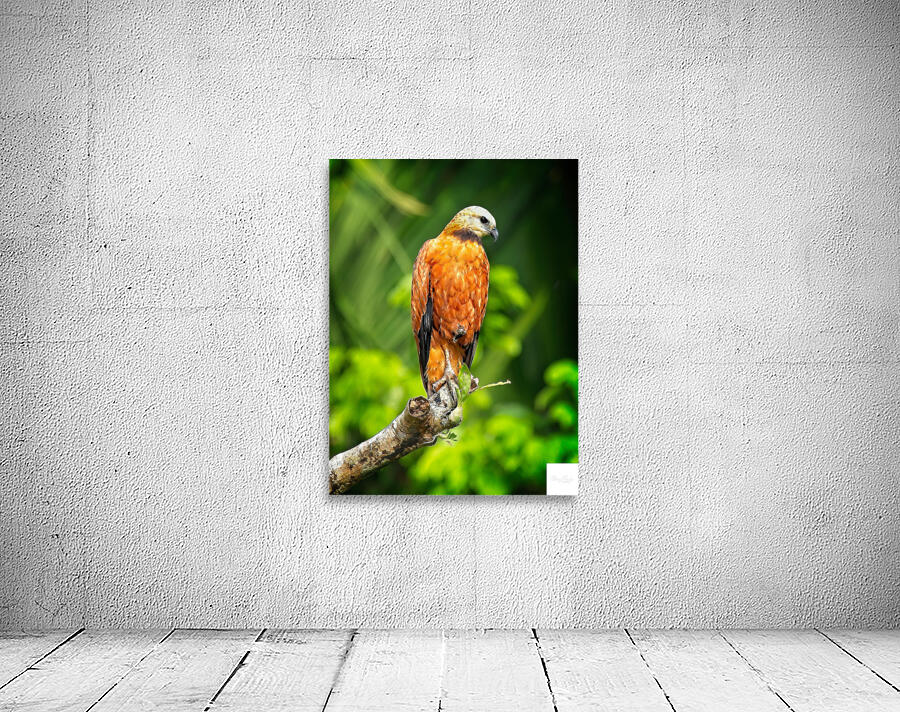 Golden Forest Guardian Wall Preview