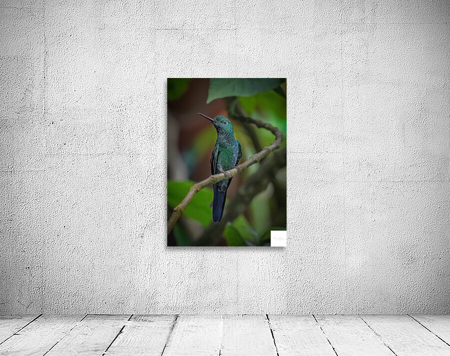 Emerald Perch Wall Preview