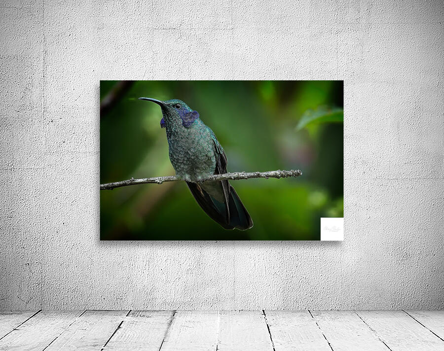 Emerald Whisper Wall Preview