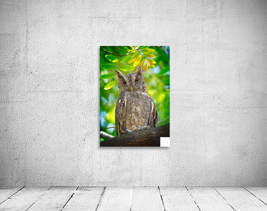 Silent Sentinel Wall Preview