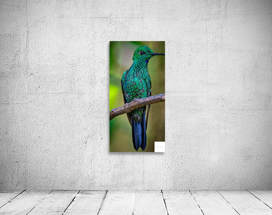 Emerald Spark Wall Preview