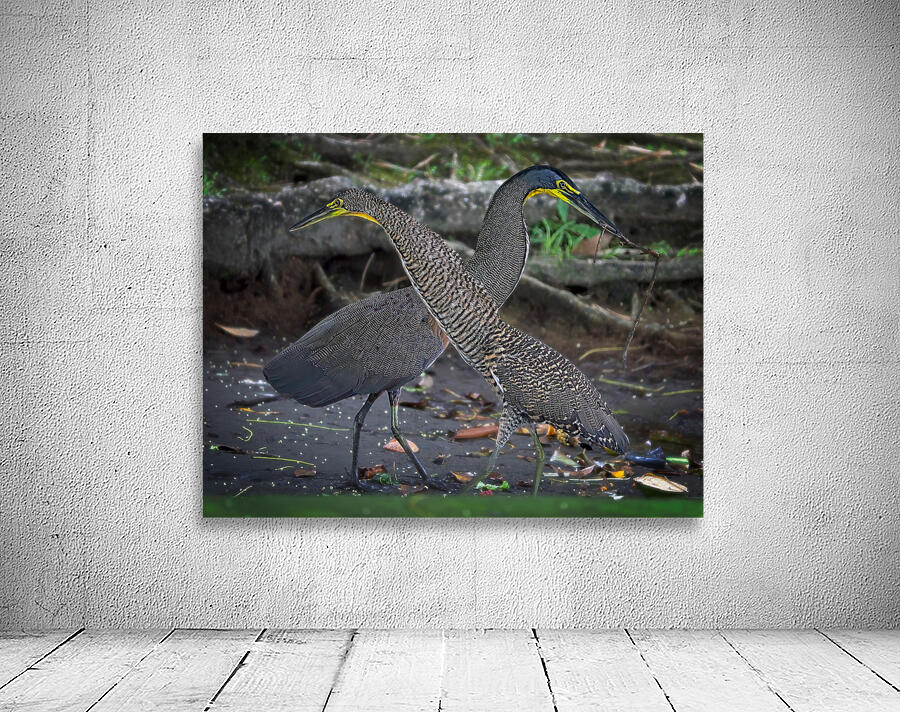 The Twin Dancers Wall Preview