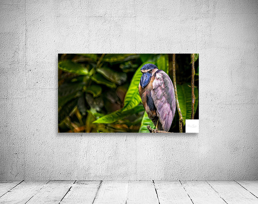 The Rainforest Dreamer Wall Preview