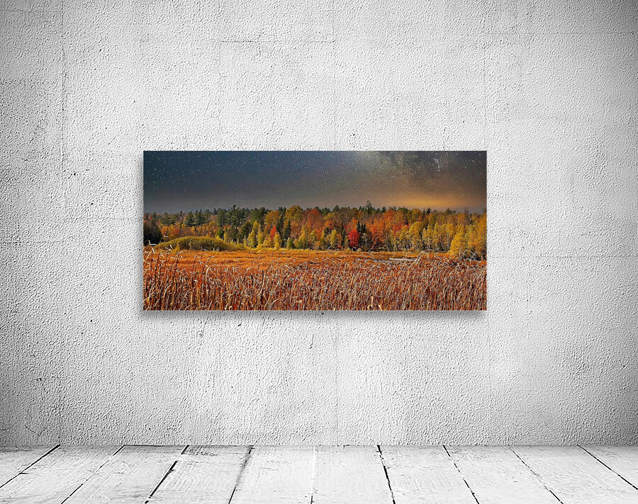 Autumn Forest Under a Starry Sky Wall Preview