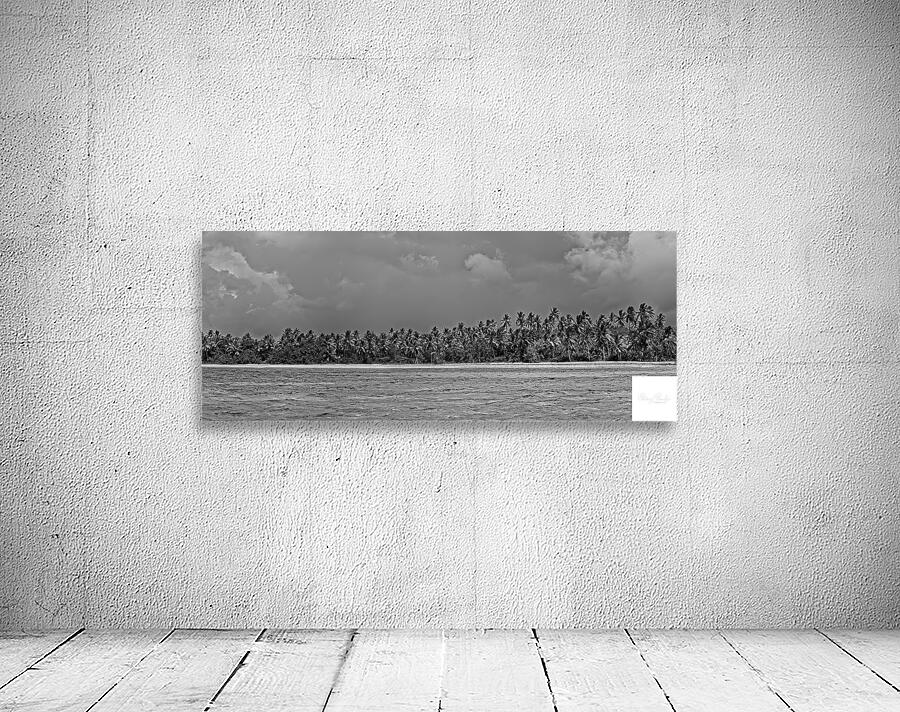 Palm Forest in Black & White Wall Preview