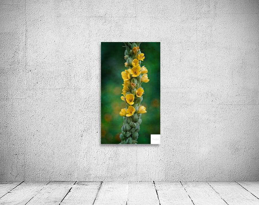 Vertical Symphony of Yellow Blooms Wall Preview