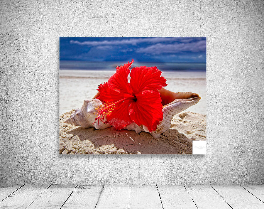 Hibiscus and Seashell Still Life Wall Preview