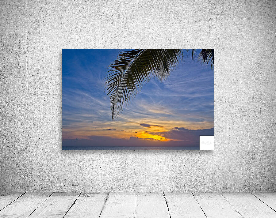 Palm-Framed Sunset Wall Preview