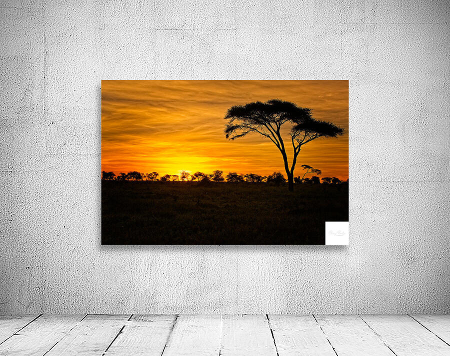 Savanna Gold Wall Preview