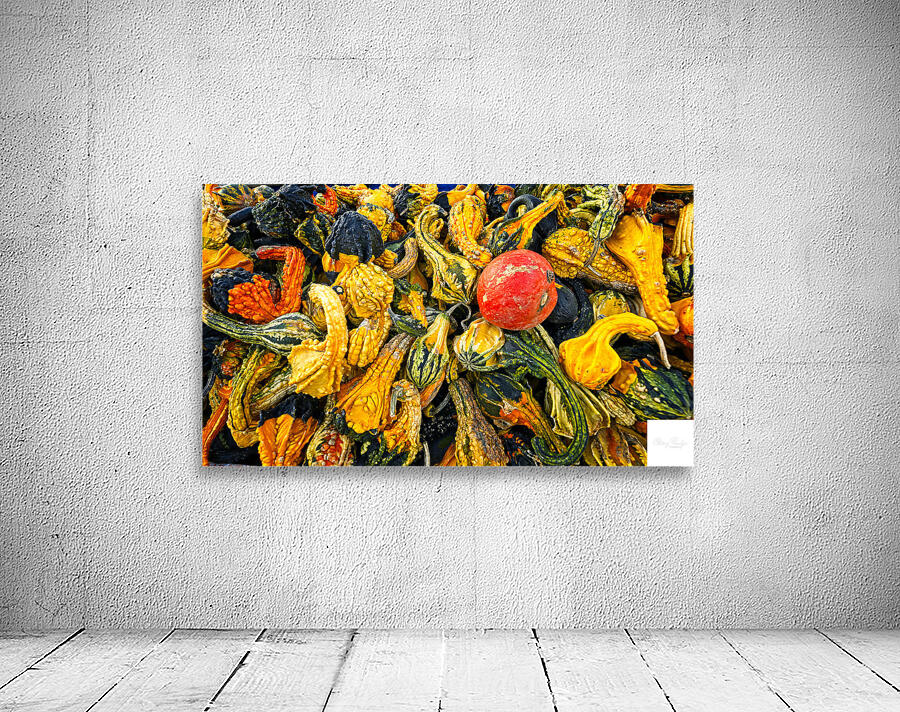 Harvest Chaos Wall Preview