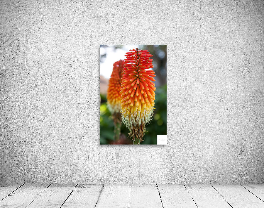 Fire Dance Bloom Wall Preview