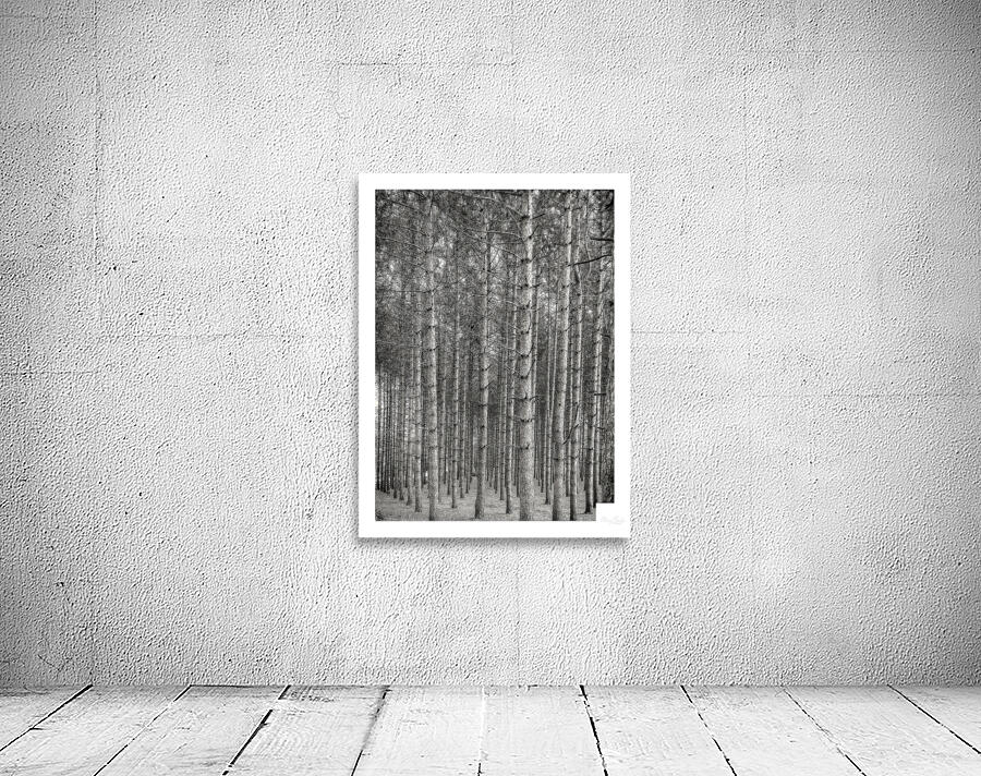 Forest Patterns Wall Preview