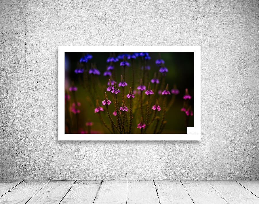 Garden Glow Wall Preview