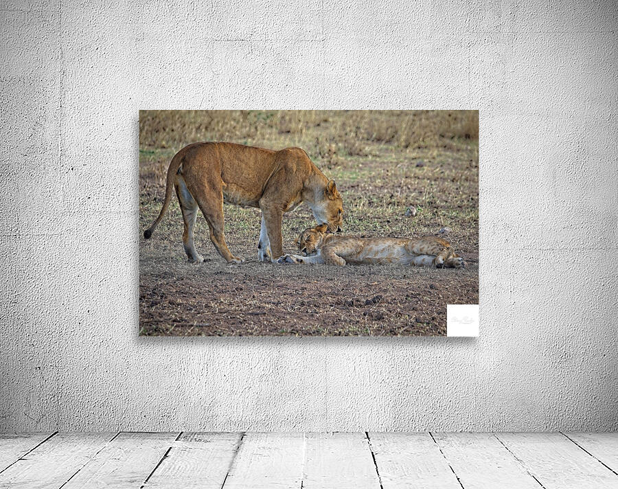 Mother’s Nudge Wall Preview