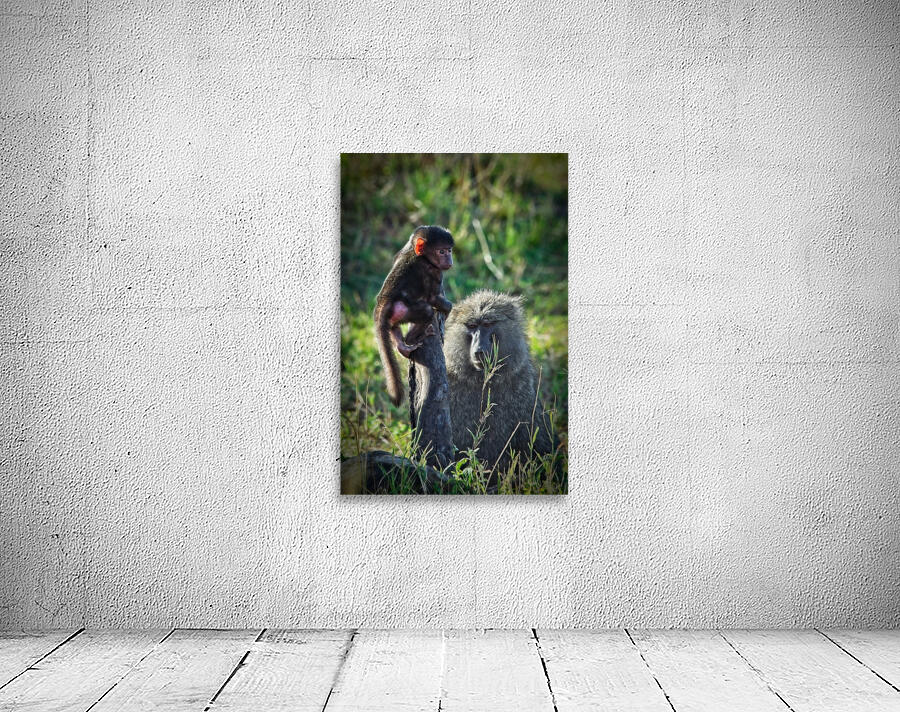 Little Leader Wall Preview