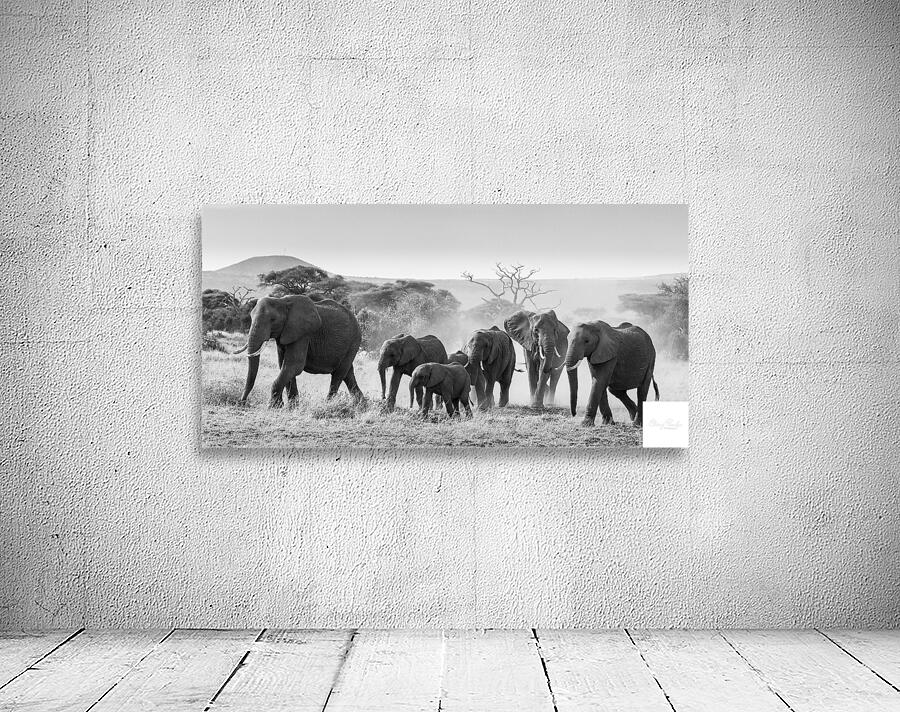 March of the Matriarchs Wall Preview