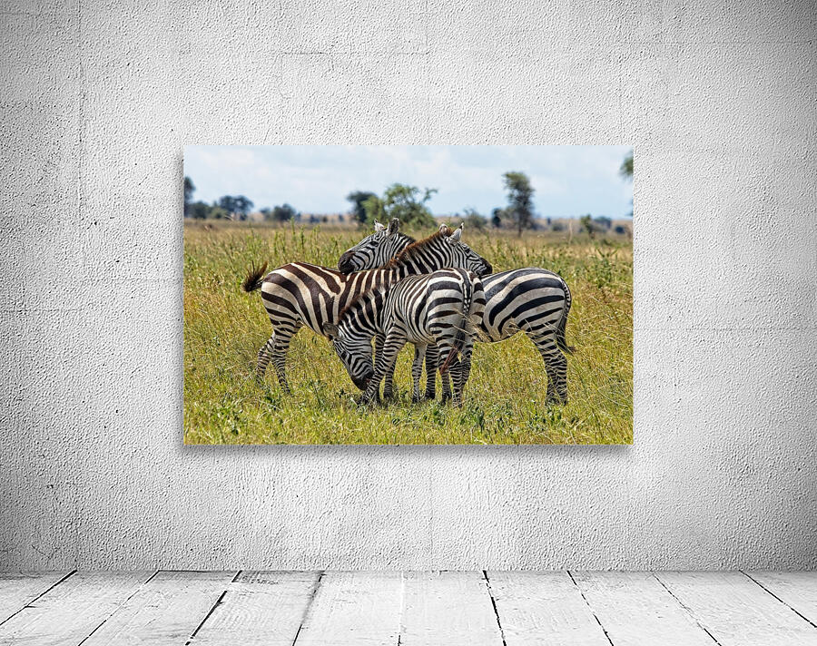 Striped Harmony Wall Preview