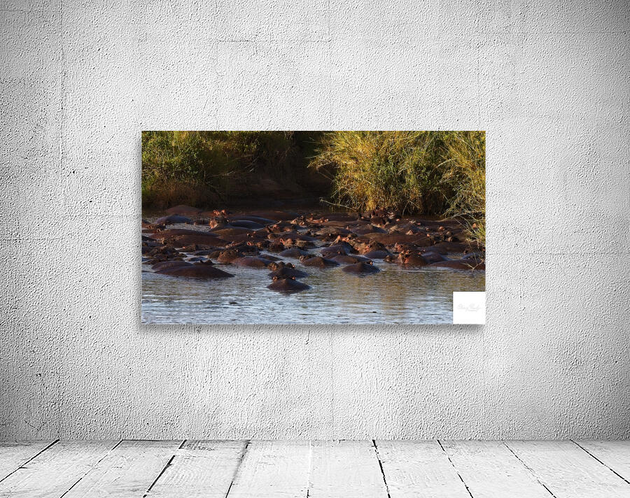 The Hippo Crowd Wall Preview