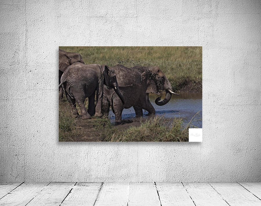 Mud Bath Ritual Wall Preview