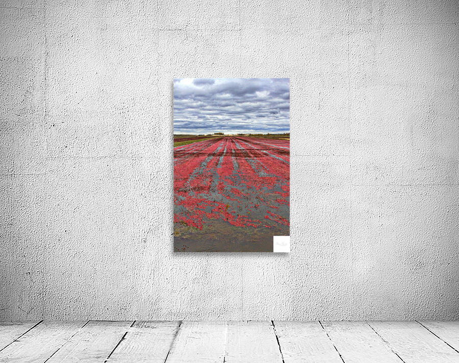 Crimson Harvest Wall Preview