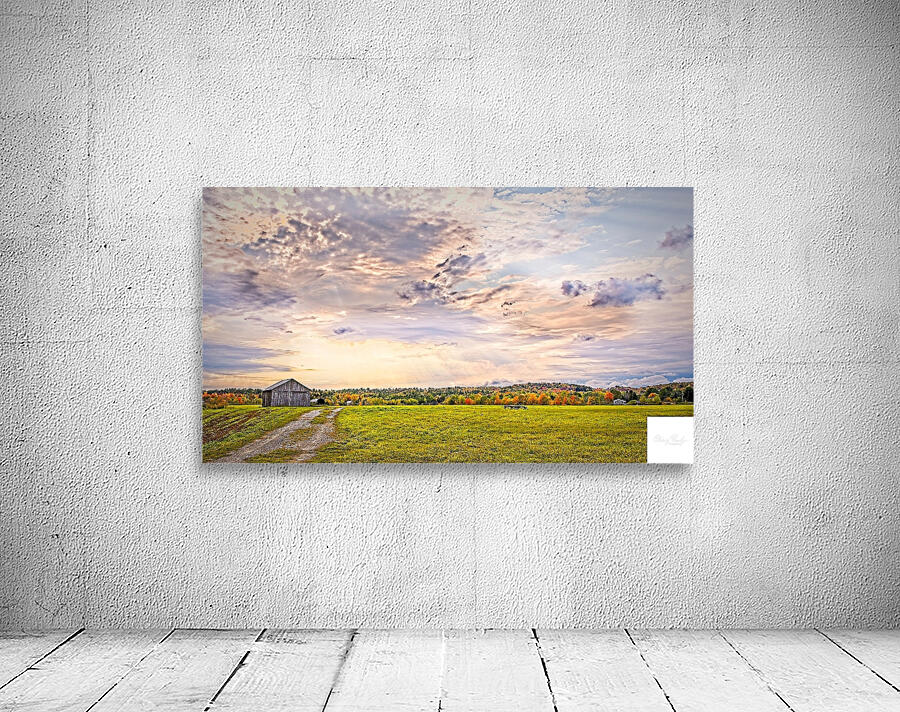 Golden Hour Over the Meadow Wall Preview