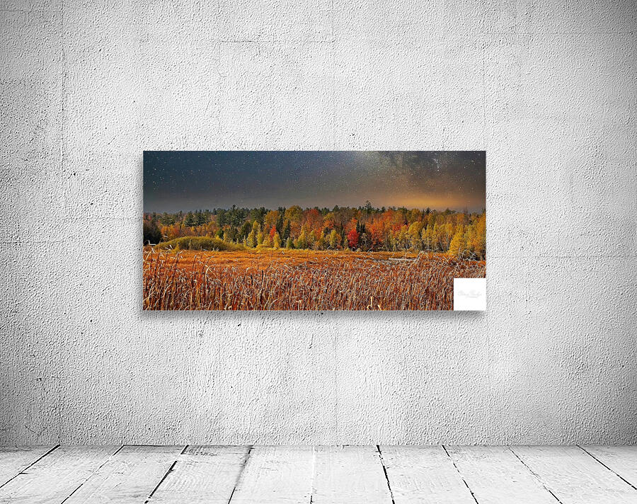 Starlit Harvest Night Wall Preview