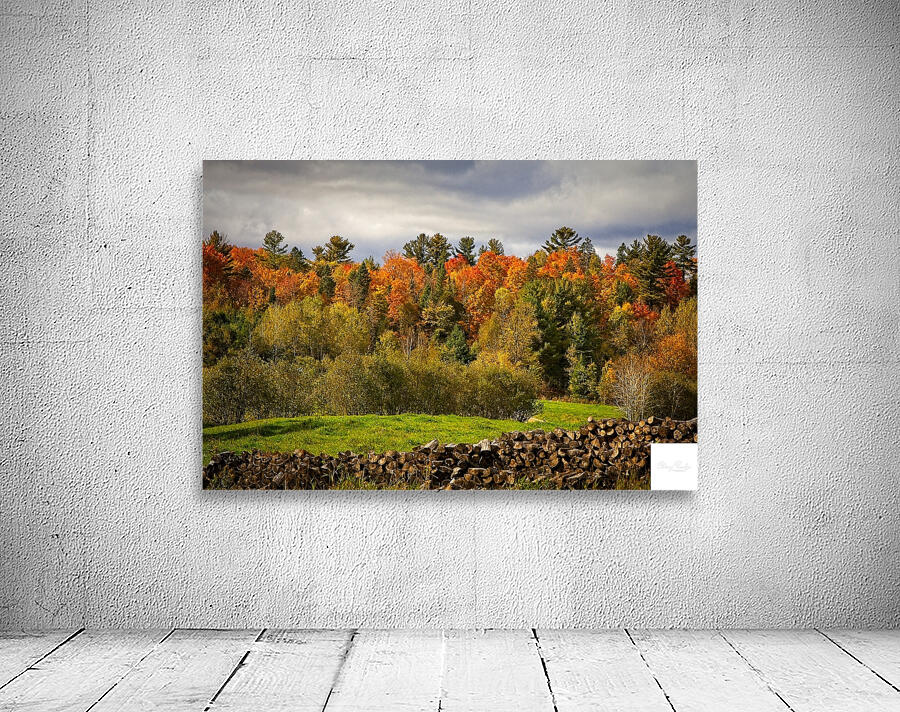 Autumn Harmony Wall Preview