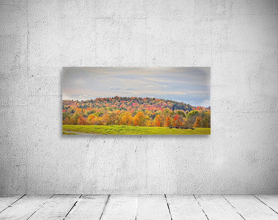  Autumn’s Quiet Meadow Wall Preview