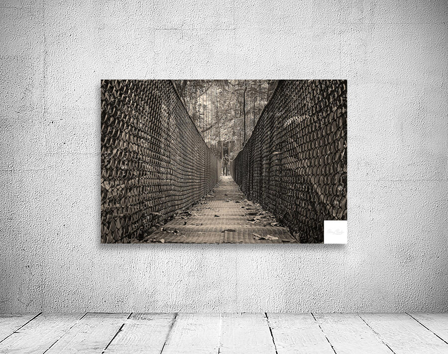 The Path Forward Wall Preview