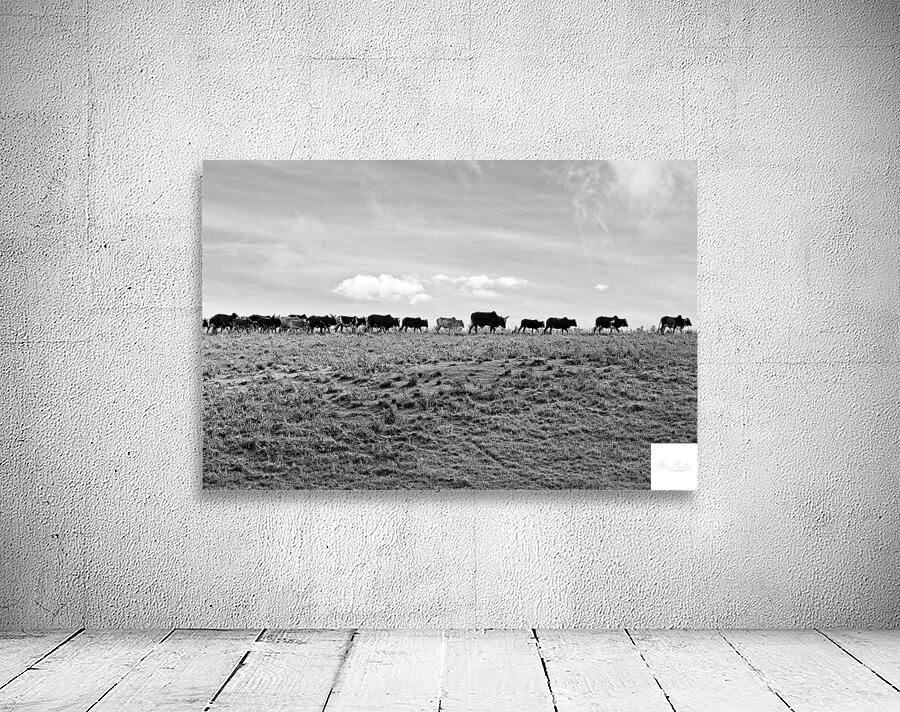 The Long Walk Home Wall Preview