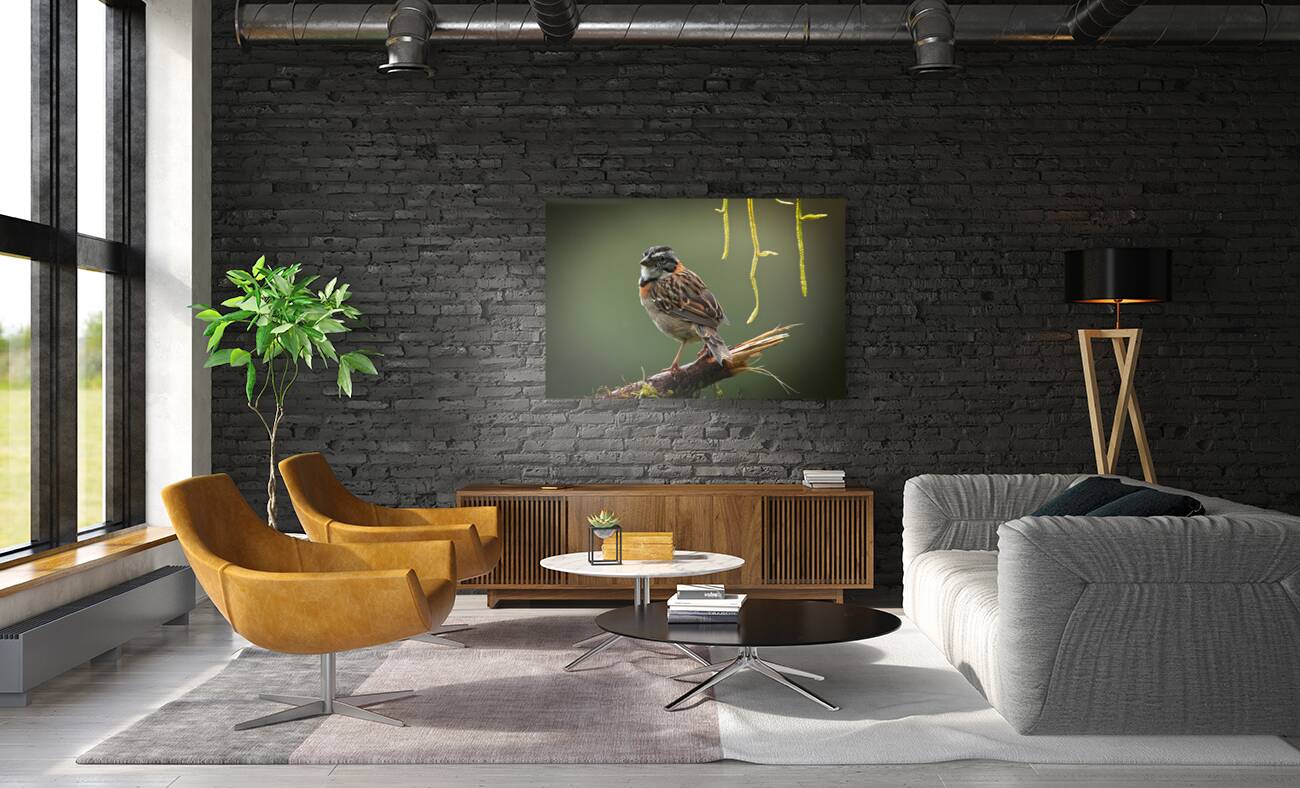 Perched in the Green Mist Reproduction