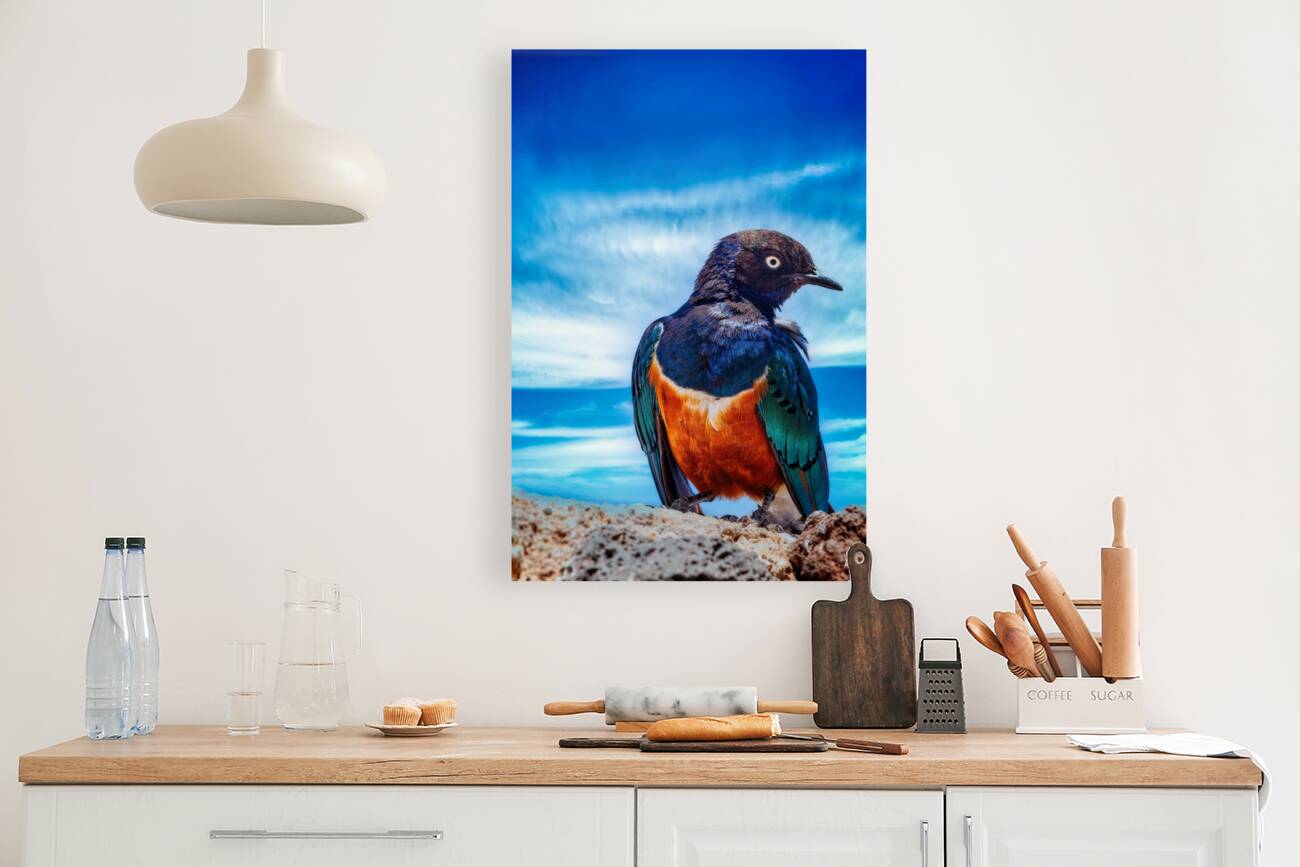 Skyfire Starling Reproduction